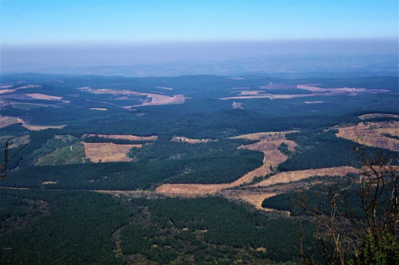From Hazyview: Panorama Tour Highlights - Tour Itinerary