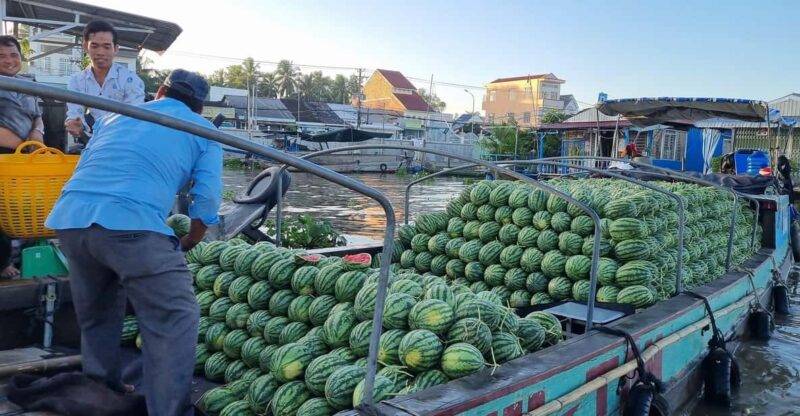 From HCM: Explore Mekong Delta & Floating Market For 2 Days - Experience Highlights