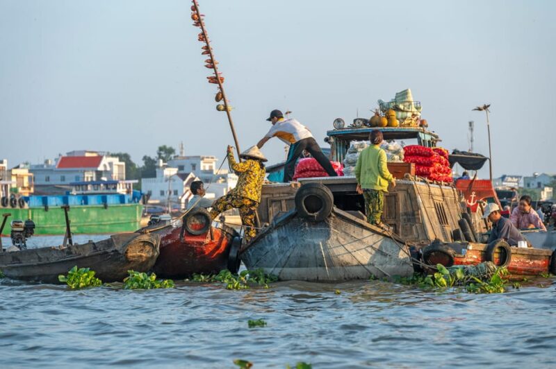 From HCM: Mekong Delta & Cai Rang Floating Market 2 Day Tour - Key Points