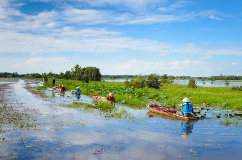 From HCM: Mekong Delta & Cai Rang Floating Market 2-Day Tour - Itinerary: Day 2