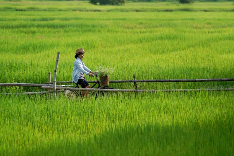 From HCM: Mekong Delta & Cai Rang Floating Market 2-Day Tour - Inclusions