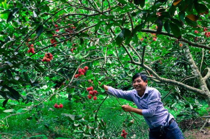 From Hcm: Mekong Delta Tour to Cai Be With Cooking Class - Traditional Cooking Class