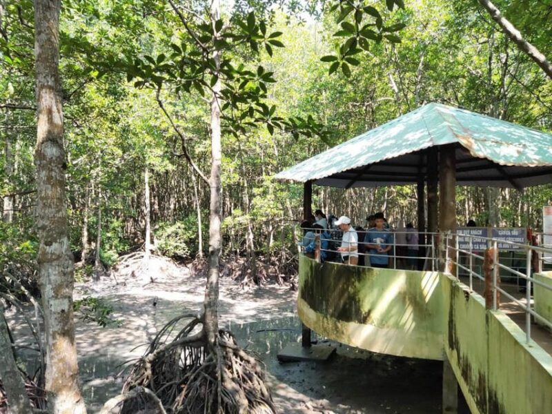From HCM: Tour Can Gio Island Full Day Private Available - Location and Highlights