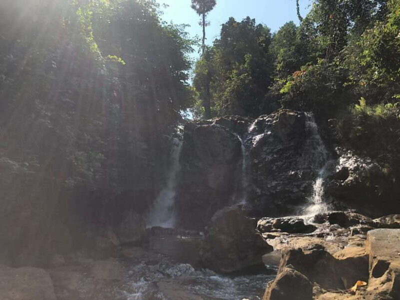 From HCMC: Cat Tien Jungle, Ancient Ruins and Ethnic Culture - The Allure of the Cat Tien Jungle