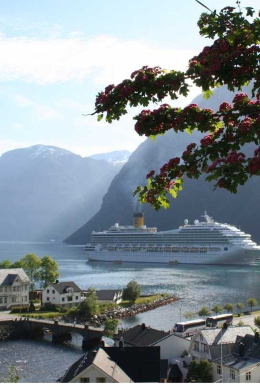 From Hellesylt: The Best of Geiranger Shore Excursion - Scenic Bus Journey