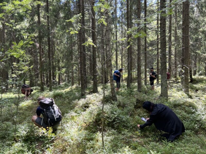From Helsinki: Hike and Sauna in Sipoonkorpi National Park - Tour Overview