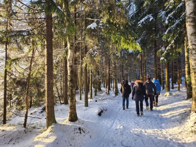 From Helsinki: Hike and Sauna in Sipoonkorpi National Park - Exploring Sipoonkorpi National Park