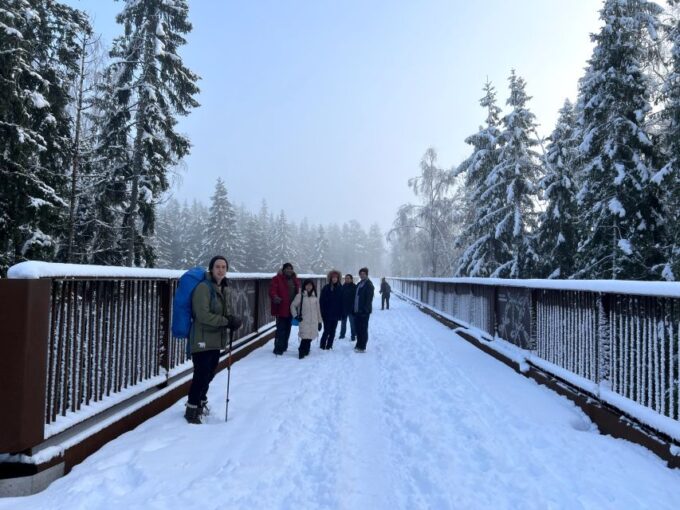 From Helsinki: Hike and Sauna in Sipoonkorpi National Park - Sauna Experience and Relaxation