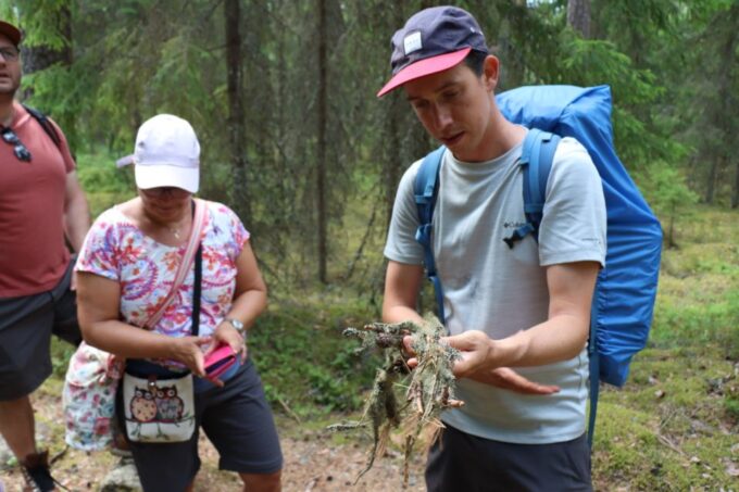 From Helsinki: Magical Taiga Hike in Liesjärvi National Park - Requirements and Suitability