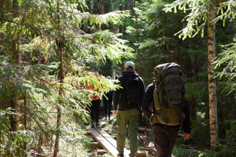 From Helsinki: Mushroom Hunting Tour in a National Park - Tour Overview and Pricing