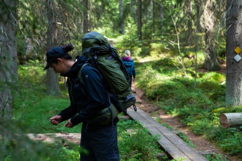 From Helsinki: Mushroom Hunting Tour in a National Park - Mushroom Hunting Details