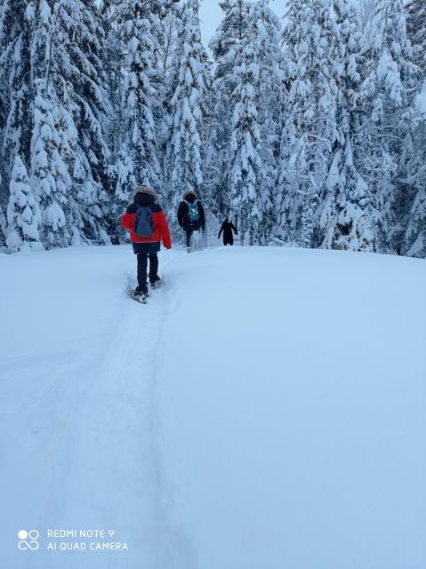From Helsinki: Nuuksio National Park Hiking Tour With Food - Guided Hike