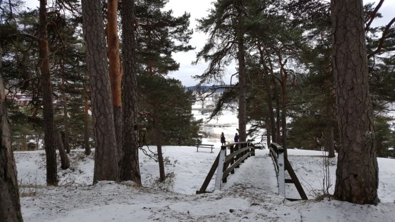 From Helsinki: Porvoo Guided Day Trip With Transportation - Sum Up