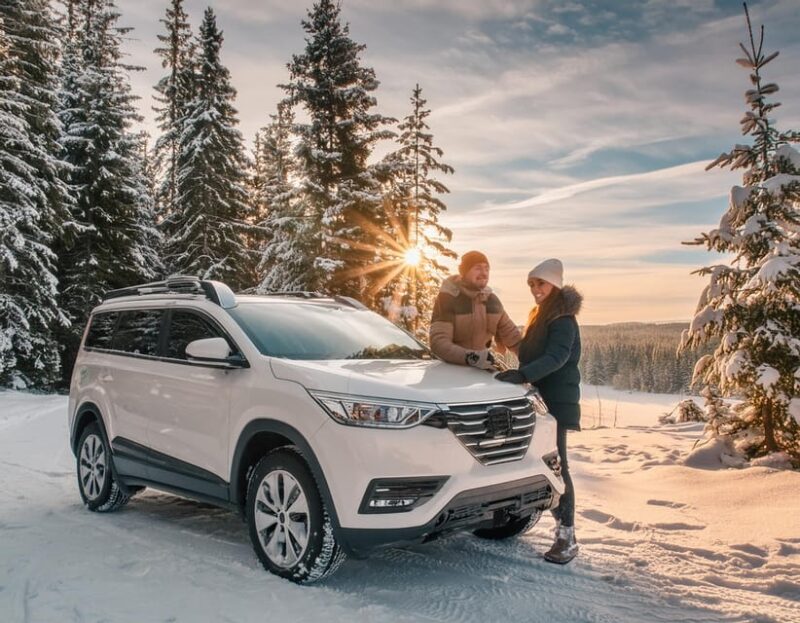 From Helsinki to Porvoo by Car (& Return) - Customization and Additional Services