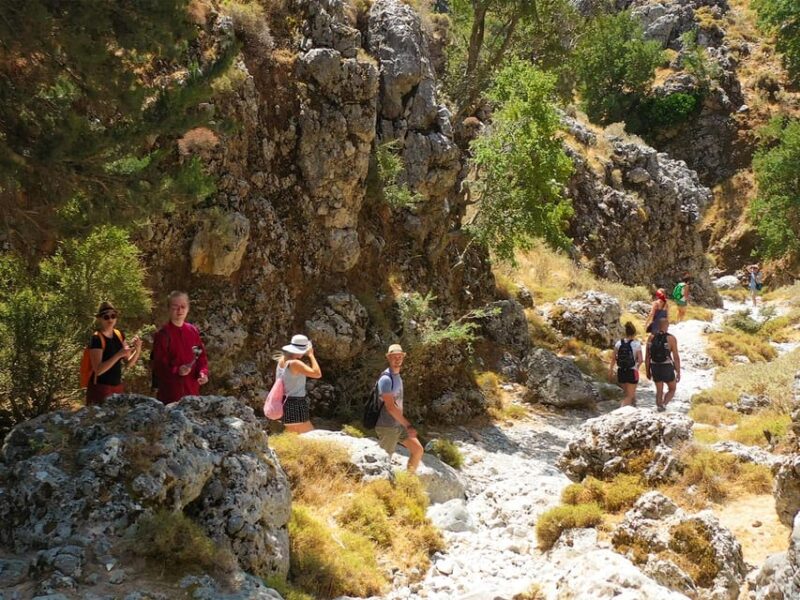 From Heraklion: Imbros Gorge Hike and Sfakia Private Tour - Itinerary Highlights