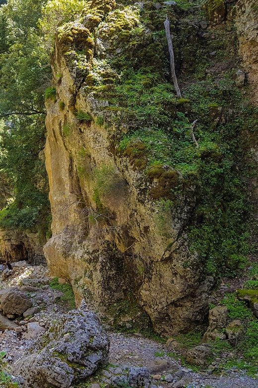 From Heraklion: Imbros Gorge Hike and Sfakia Private Tour - Inclusions and Amenities