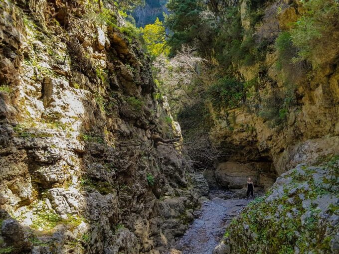 From Heraklion: Imbros Gorge Hike and Sfakia Private Tour - Hiking the Imbros Gorge