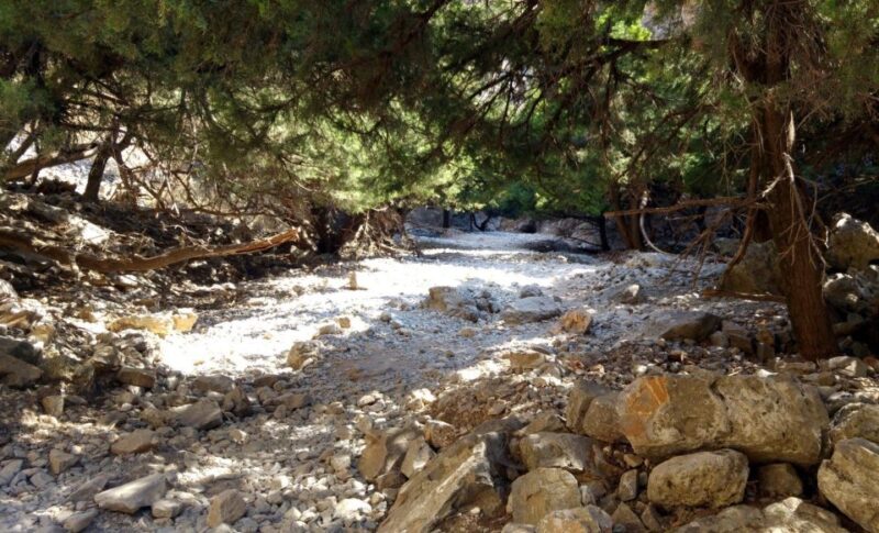From Heraklion: Imbros Gorge Hiking Experience - Inclusions and Highlights