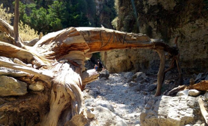 From Heraklion: Imbros Gorge Hiking Experience - Booking and Cancellation Policy
