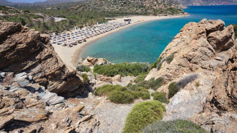 From Heraklion: Palm Forest Beach of Vai, Toplou & Sitia - Key Points