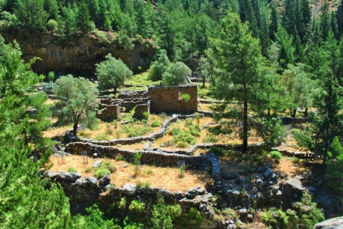 From Heraklion: Samaria Gorge & Agia Roumeli Hiking Day Trip - Customer Feedback