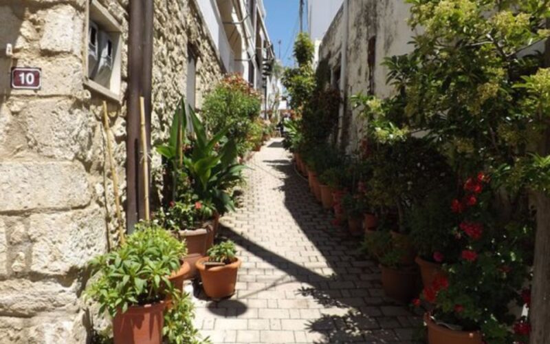From Heraklion: Wine & Pottery Flavours - Wine Tasting Experience