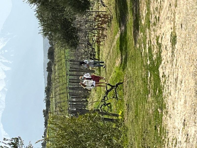 From Heraklion: Wine Tasting Experience @ Titakis Winery - Key Points