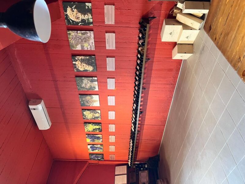 From Heraklion: Wine Tasting Experience @ Titakis Winery - Cretan Wine Varieties Sampled