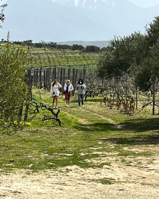 From Heraklion: Wine Tasting Experience @ Titakis Winery - Frequently Asked Questions