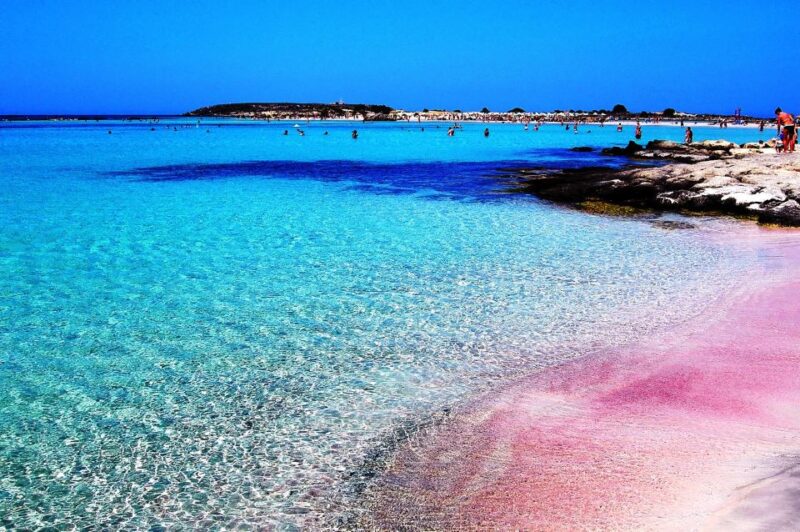 From Hersonissos: Elafonisi Pink Beach Day Trip in Crete - Transportation and Pickup