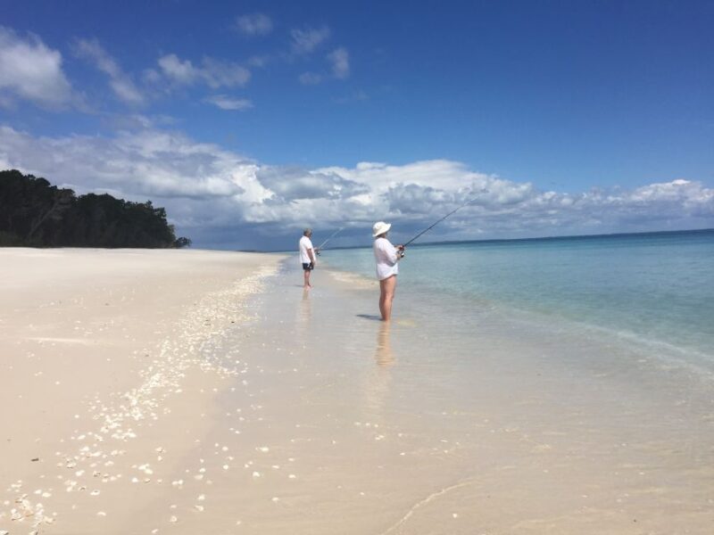 From Hervey Bay: 1/2 Day Kgari Fraser Island Beach Cruise - Key Points