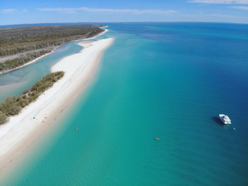 From Hervey Bay: 1/2 Day Kgari Fraser Island Beach Cruise - Morning Tea and Activities