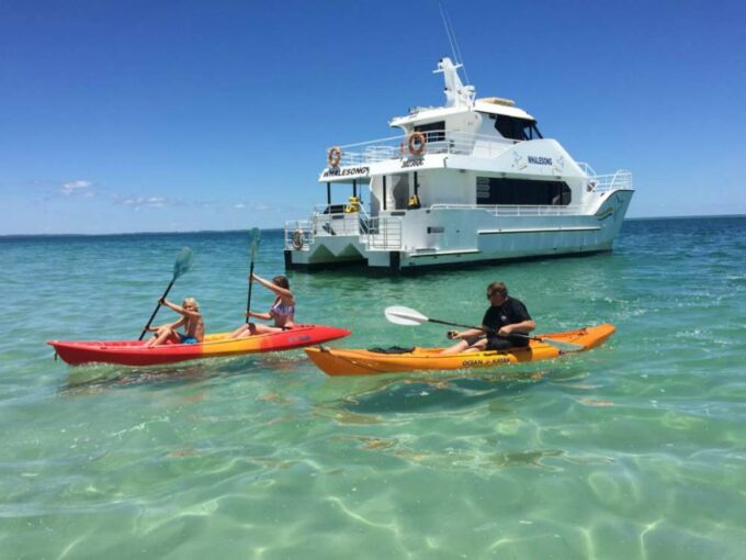 From Hervey Bay: 1/2 Day Kgari Fraser Island Beach Cruise - Recap