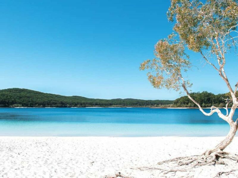 From Hervey Bay: K'Gari 4 Day Experience + Illumina - Who Will Love This Tour?