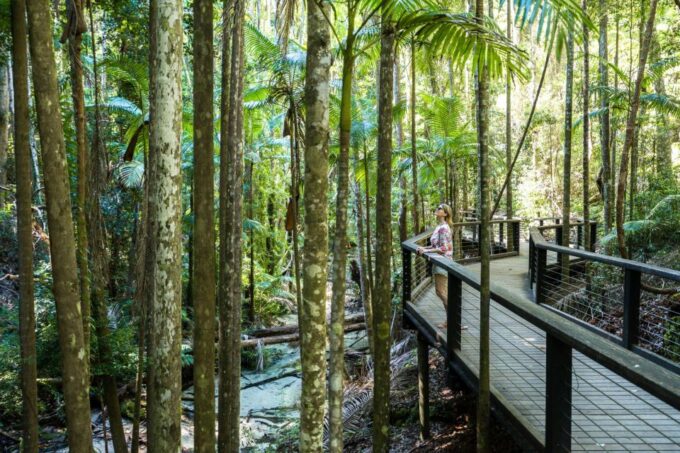 From Hervey Bay: Kgari, Fraser Island Two-Day Coach Tour - Experiencing Diverse Island Fauna and Flora