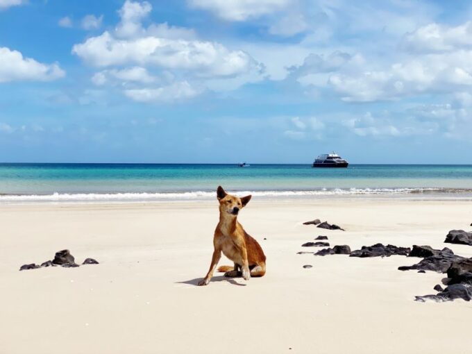 From Hervey Bay: Remote Kgari Tour by Boat With Lunch - Tube Rides and Beach Walks