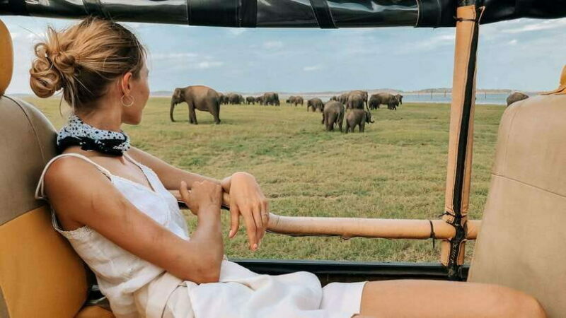 From Hikkaduwa/Galle/Weligama/Mirissa: Udawalawa Safari Tour - FAQ