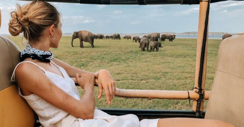 From Hikkaduwa/Galle/Weligama/Mirissa: Udawalawe Safari Tour - Transportation Inclusions