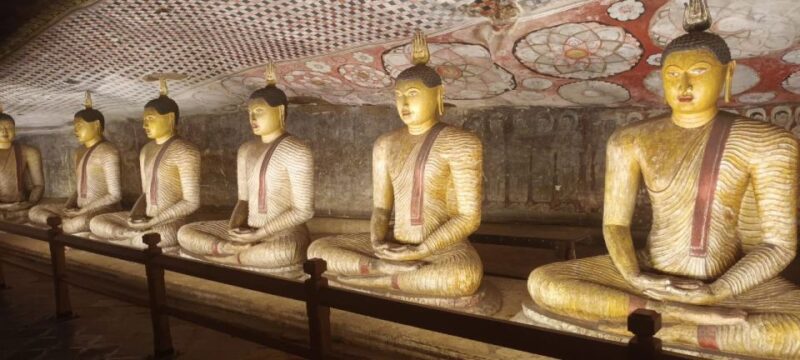 From Hikkaduwa : to Sigiriya & Dambulla One Day Tour - Transport and Inclusions