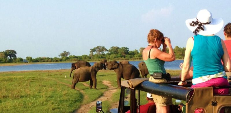 From Hikkaduwa: Udawalawe National Park Safari Tour - Key Points
