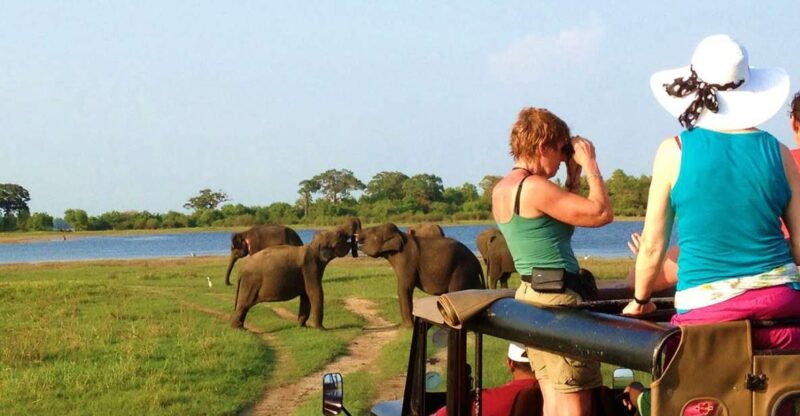 From Hikkaduwa: Udawalawe National Park Safari Tour - Wildlife Experience