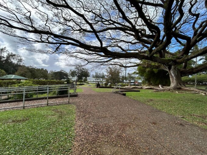 From Hilo: Hawaii Volcanoes National Park Tour - Additional Information