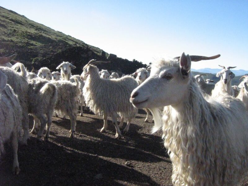From Himeville: 4-Day Guided Village Hike With Accommodation - Key Points