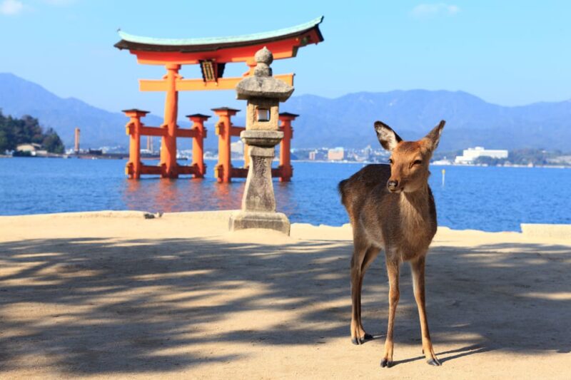 From Hiroshima: City and Miyajima Island 1-Day Bus Tour - Frequently Asked Questions