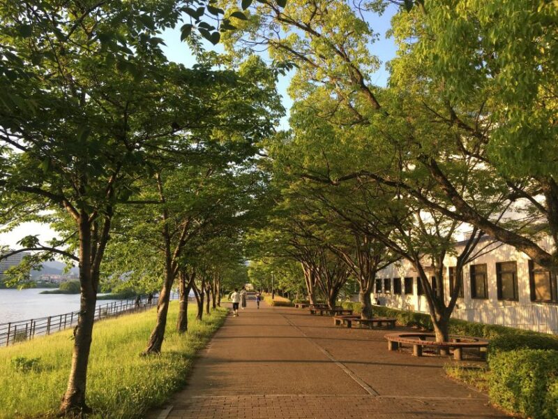 From Hiroshima: Private Tour to Kure - Japanese Navy Curry Tasting