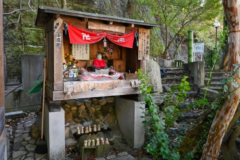 From Hiroshima: Rabbit Island and Takehara Town Tour - Important Information