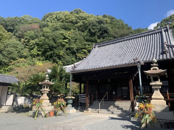 From Hiroshima: Rabbit Island and Takehara Town Tour - Exploring Takehara Townscape Conservation Area
