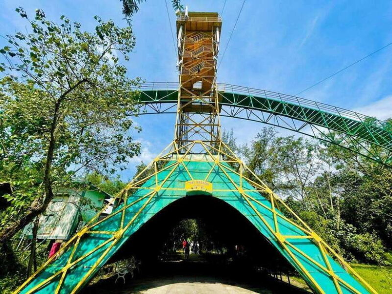 From Ho Chi Minh: Can Gio Mangrove Forest Private Tour - Discovering the Hoa Ca Crocodile Farm