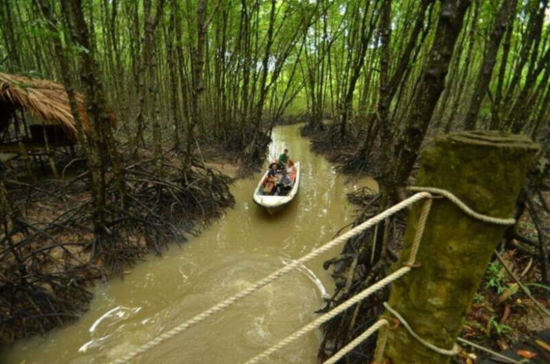 From Ho Chi Minh: Can Gio Mangrove Forest Private Tour - Frequently Asked Questions