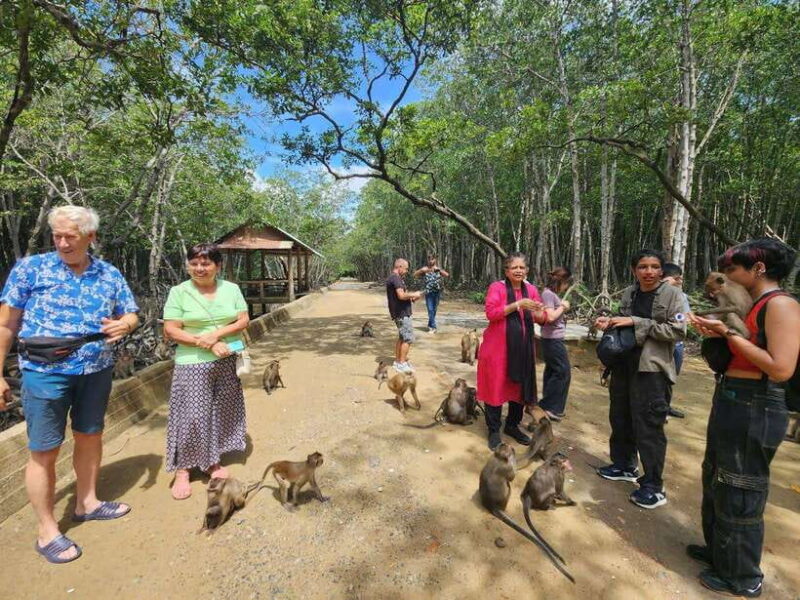 From Ho Chi Minh: Can Gio Mangrove & Monkey Island Day Trip - Key Points